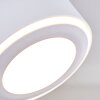 Appleton Plafondlamp LED Wit, 2-lichts