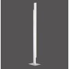 Paul Neuhaus Q-TOWER Staande lamp LED Aluminium, 2-lichts, Afstandsbediening