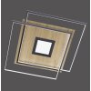 Paul Neuhaus Q-AMIRA Plafondlamp LED Hout licht, 1-licht, Afstandsbediening