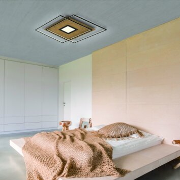 Paul Neuhaus Q-AMIRA Plafondlamp LED Hout licht, 1-licht, Afstandsbediening