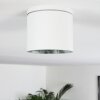 Macoupin Plafondlamp Wit, 1-licht