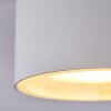 Macoupin Plafondlamp Wit, 1-licht