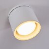 Macoupin Plafondlamp Wit, 1-licht