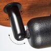 Kesao Plafondlamp Hout donker, Zwart, 1-licht