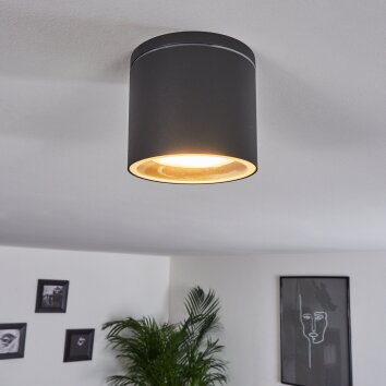 Macoupin Plafondlamp Zwart, 1-licht