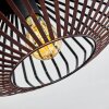 Wemude Plafondlamp Koperkleurig, Zwart, 1-licht