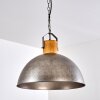 Tholen Hanger Bruin, Zilver, 1-licht