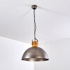 Tholen Hanger Bruin, Zilver, 1-licht
