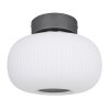 Globo  Plafondlamp LED Antraciet, Nikkel mat, 1-licht