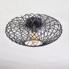 Wemude Plafondlamp Zwart, 1-licht