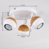 Kotaoa Plafondlamp LED Wit, 3-lichts
