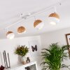 Kotaoa Plafondlamp LED Wit, 4-lichts