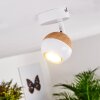 Kotaoa Plafondlamp LED Wit, 1-licht