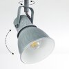 Susu Plafondlamp Grijs, 2-lichts
