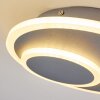 Harea Plafondlamp LED Grijs, 1-licht