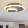 Harea Plafondlamp LED Grijs, 1-licht