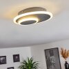 Harea Plafondlamp LED Grijs, 1-licht