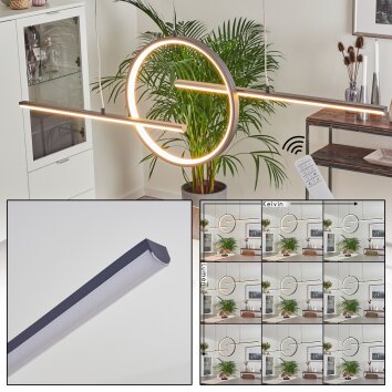 Alelua Hanglamp LED Grijs, 1-licht, Afstandsbediening