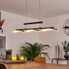 Bolonda Hanglamp LED Zwart, 3-lichts