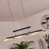 Bolonda Hanglamp LED Zwart, 3-lichts