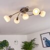 Warga Plafondlamp LED Nikkel mat, 5-lichts