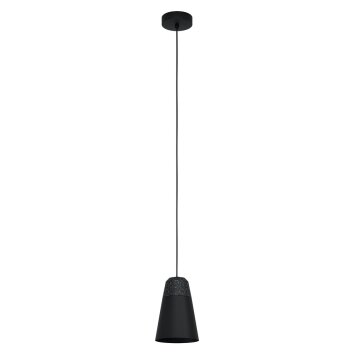 Eglo CANTERRAS Hanger Zwart, 1-licht