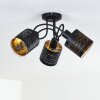 Bathinda Plafondlamp Zwart, 3-lichts