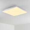 Bankura Plafondlamp LED Wit, 1-licht, Afstandsbediening