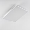 Bankura Plafondlamp LED Wit, 1-licht, Afstandsbediening