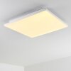 Bankura Plafondlamp LED Wit, 1-licht, Afstandsbediening