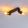Ajaccio Plafondlamp Zwart, 2-lichts