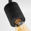 Ajaccio Plafondlamp Zwart, 3-lichts