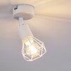 Baripada Plafondlamp Wit, 1-licht