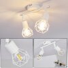 Baripada Plafondlamp Wit, 2-lichts