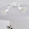 Baripada Plafondlamp Wit, 2-lichts