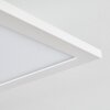 Salmi Plafondlamp LED Wit, 1-licht, Afstandsbediening