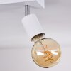 Tulla Plafondlamp Wit, 2-lichts