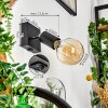 Tulla Muurlamp Zwart, 1-licht