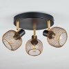 Pipisu Plafondlamp Goud, Messing, Zwart, 3-lichts