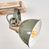 Orny Plafondlamp Groen, Hout licht, 4-lichts