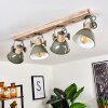 Orny Plafondlamp Groen, Hout licht, 4-lichts