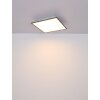 Globo DORO Plafondlamp LED Grijs, Wit, 1-licht