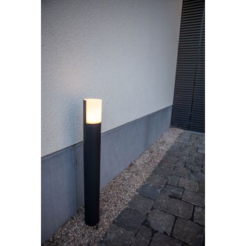 Lutec CYRA Padverlichting LED Zwart, 1-licht