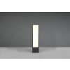 Trio Fuerte Padverlichting LED Antraciet, 1-licht