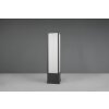 Trio Fuerte Padverlichting LED Antraciet, 1-licht