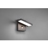 Trio Horton Buiten muurverlichting LED Antraciet, 1-licht, Bewegingsmelder