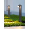 Trio Horton Padverlichting LED Antraciet, 1-licht
