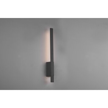 Trio Tawa Buiten muurverlichting LED Antraciet, 1-licht