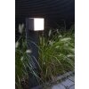 Lutec CUBA Padverlichting LED Antraciet, 1-licht