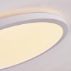 Boyero Plafondpaneel LED Wit, 1-licht